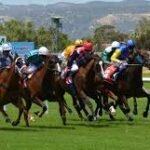 रायपुर में पहली बार होगा इंटरनेशनल कबड्डी टूर्नामेंट